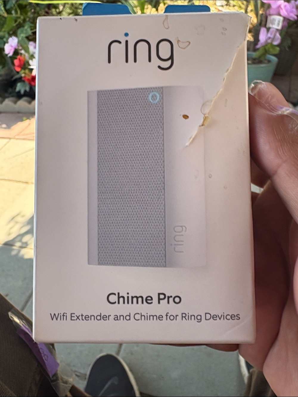 Chime Pro (Ring)